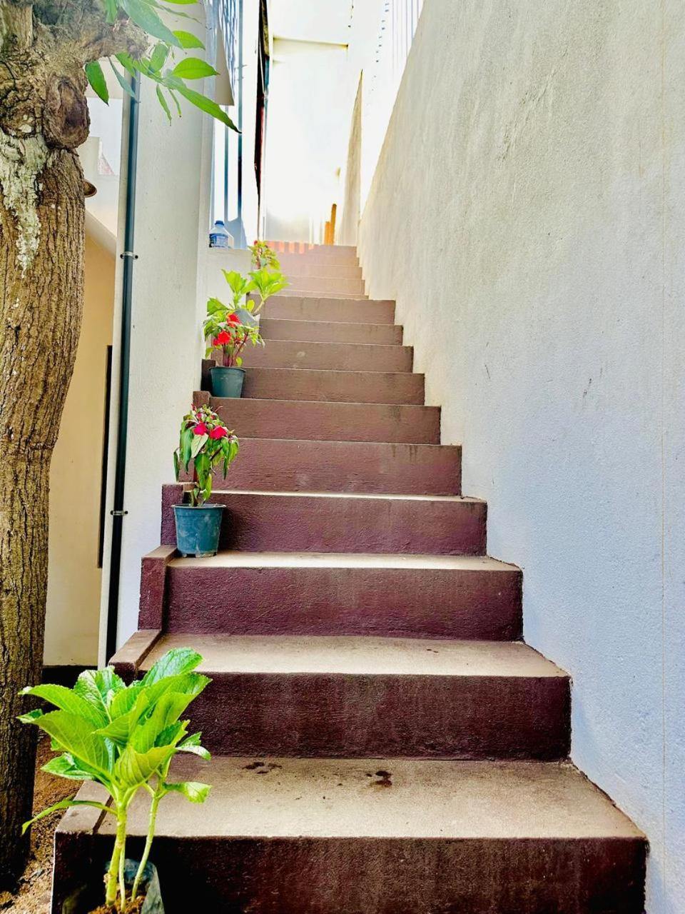 Sea Breeze Guest House Negombo Exterior foto